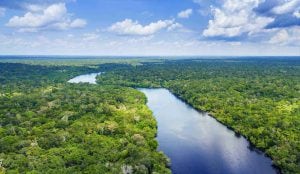 Amazon Rain Forest - 10 Wonders of The World