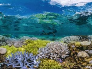 The Great Barrier Reef - Places to Visit Before They Disappear From the Earth