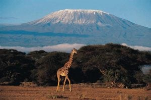 Mount Kilimanjaro, Tanzania - Places to Visit Before They Disappear From the Earth